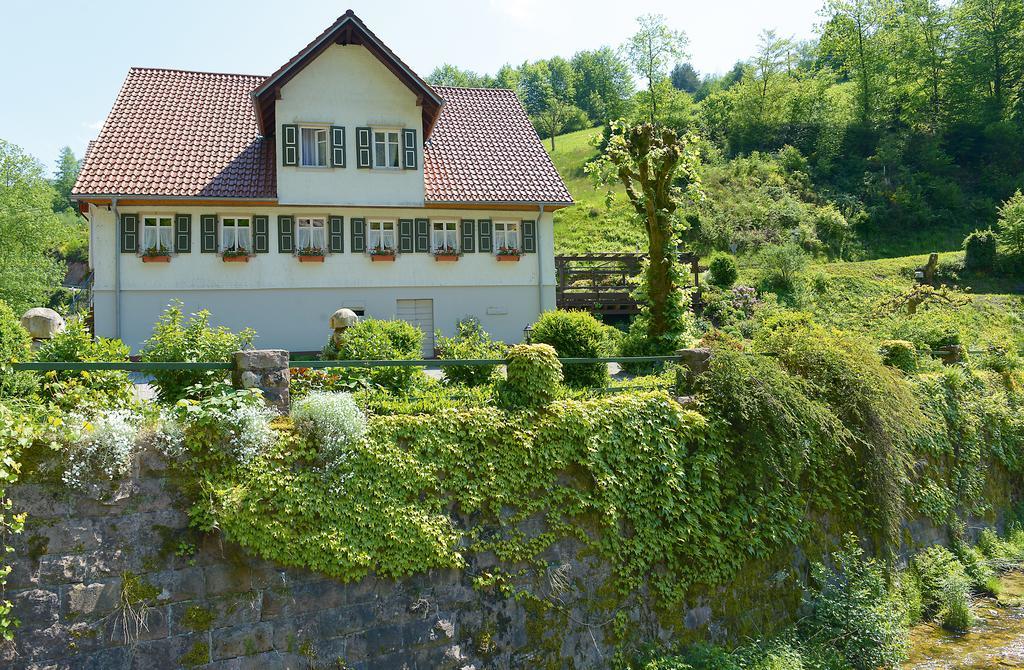 Hotel - Gasthof Blume Oppenau Exterior foto