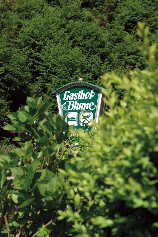 Hotel - Gasthof Blume Oppenau Exterior foto