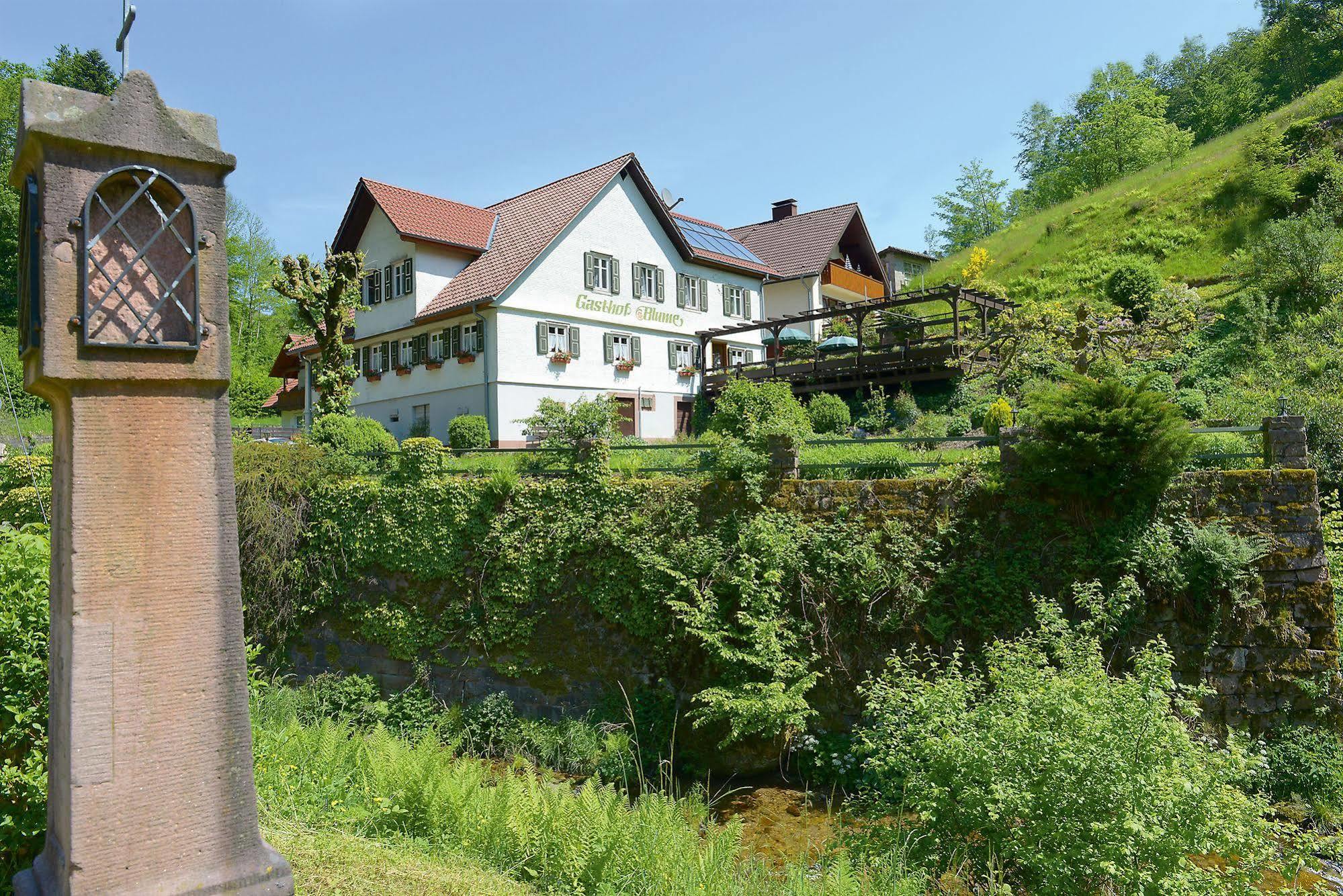Hotel - Gasthof Blume Oppenau Exterior foto